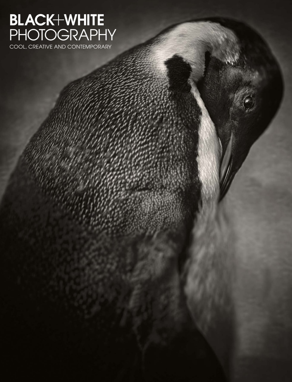 Black+White Photography Magazine March 2016 Back Issue