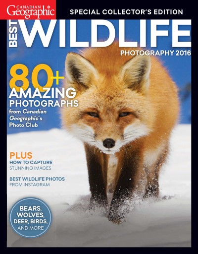 Canadian Geographic Magazine - Best Wildlife Photography 2016 Special Issue