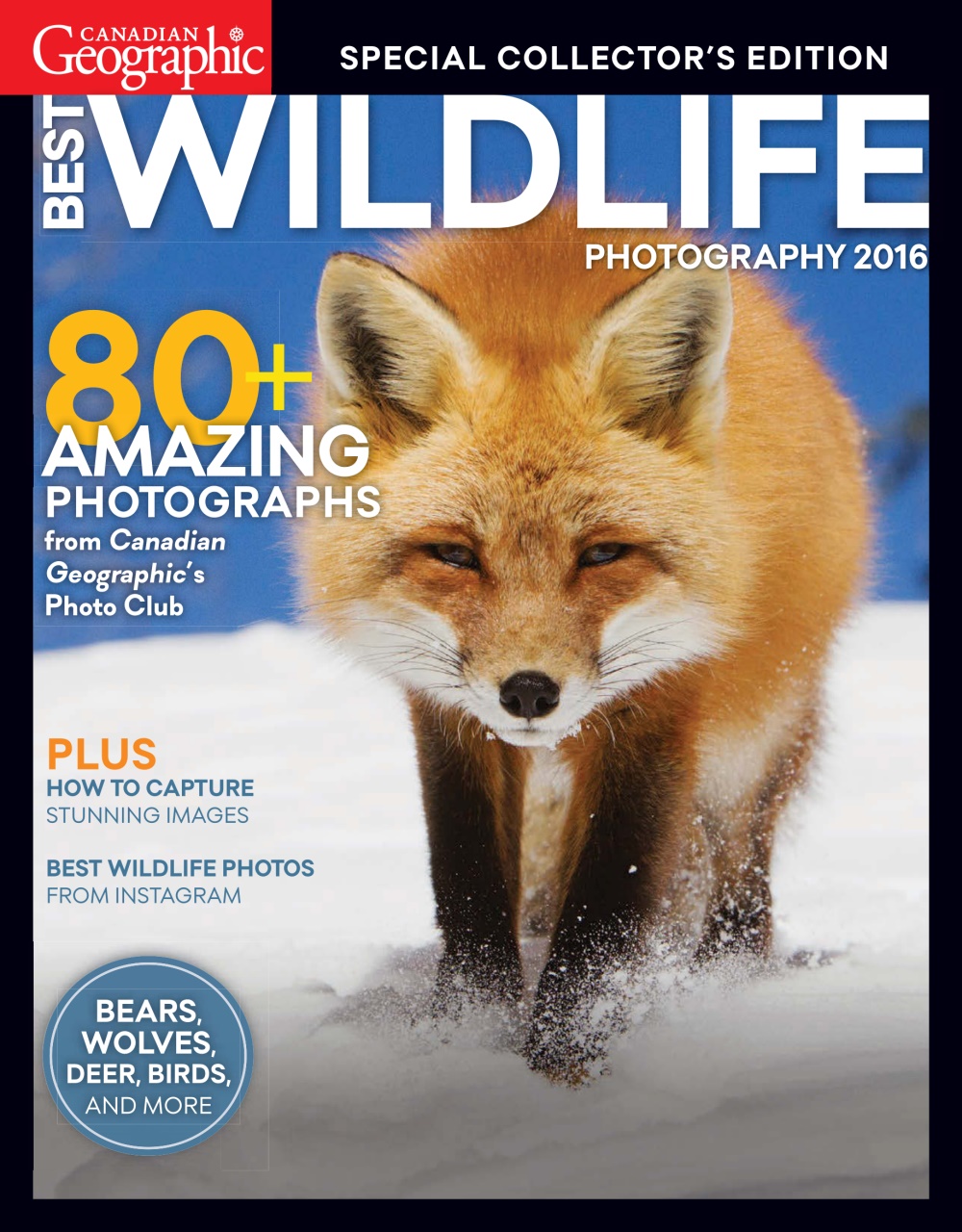 Canadian Geographic Magazine Best Wildlife Photography 2016 Special Issue