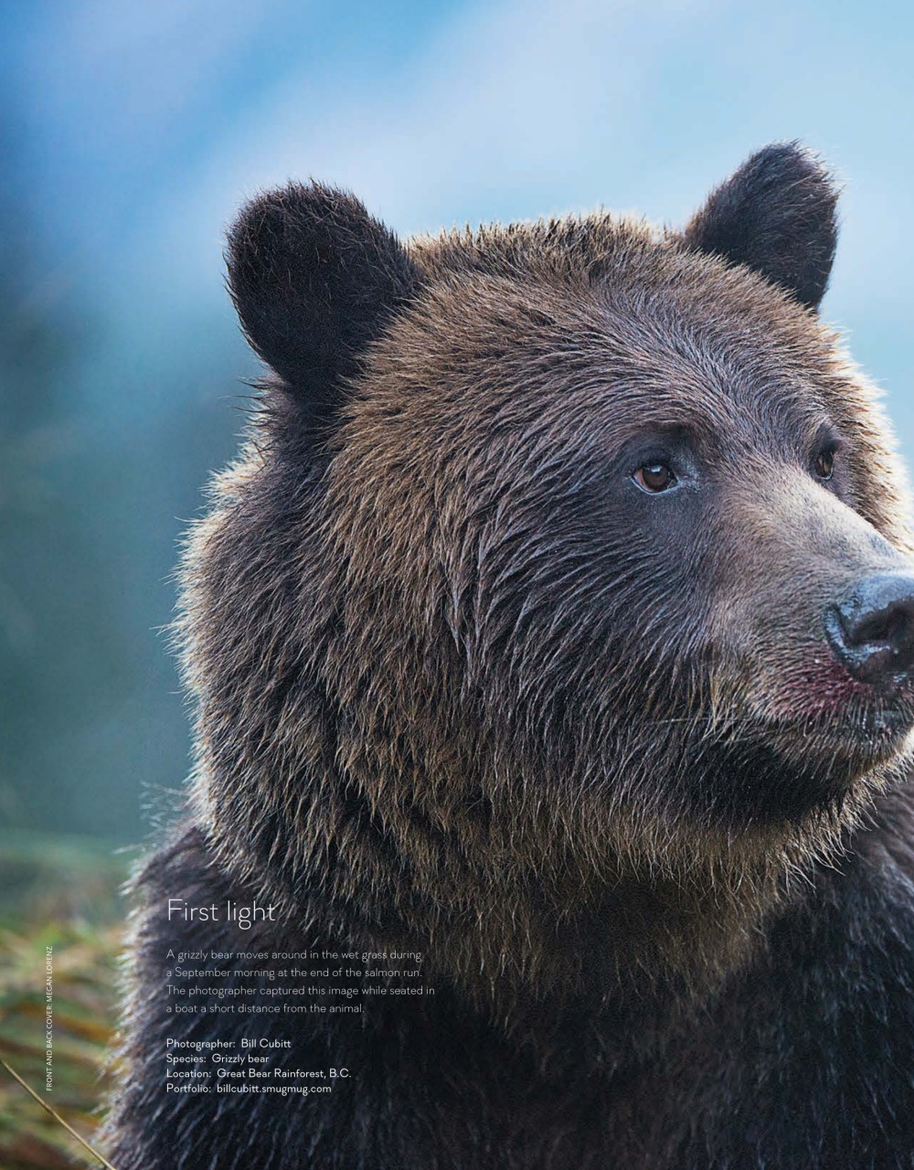 Canadian Geographic Magazine Best Wildlife Photography 2016 Special Issue