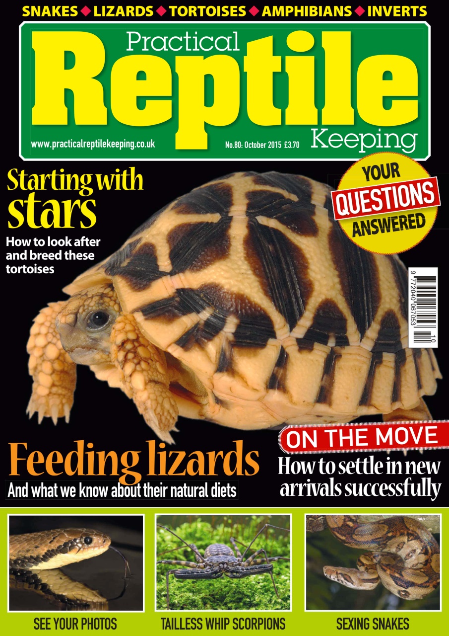 Practical Reptile Keeping Magazine No. 80 Starting with stars