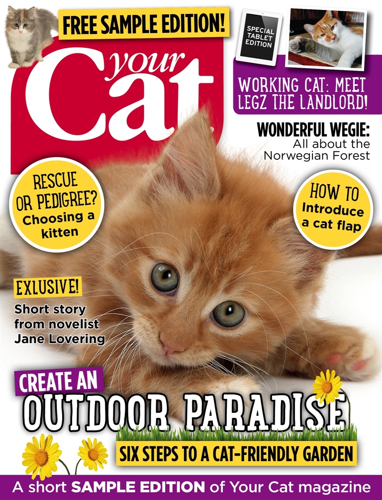 Your Cat Magazine - Your Cat Magazine FREE sample issue Special Issue