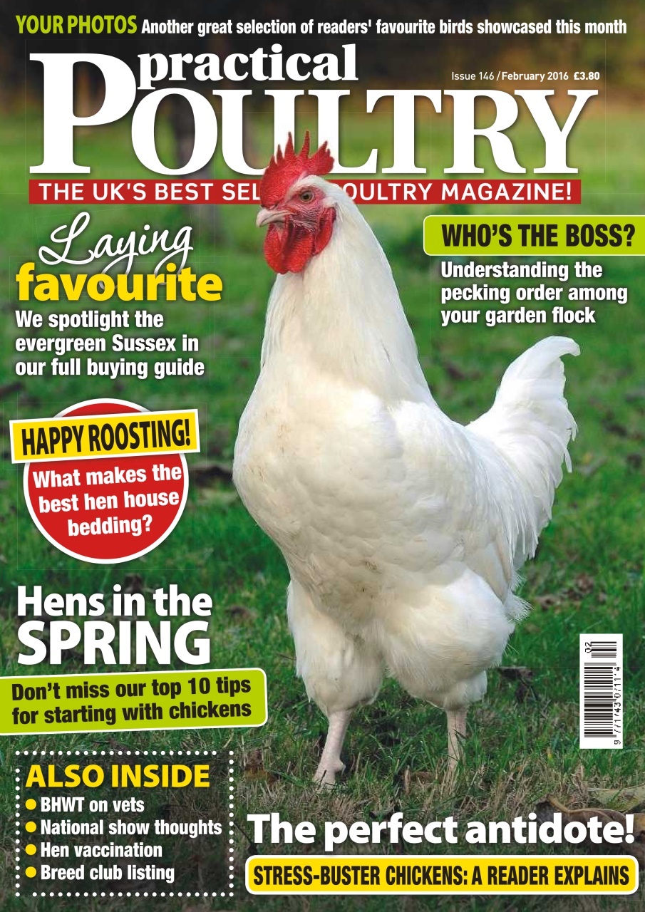 Practical Poultry Magazine No. 146 Laying Favourite Back Issue