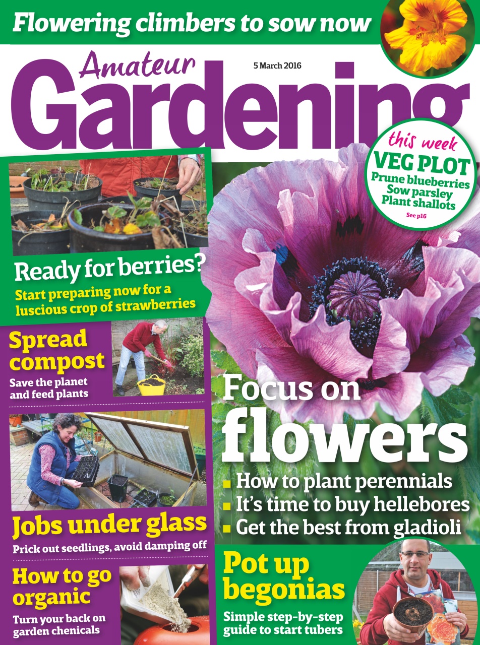 Amateur Gardening Magazine Th March Back Issue