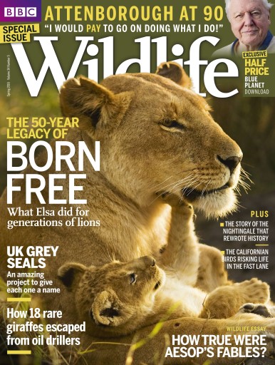 BBC Wildlife Magazine - Spring 2016 Back Issue