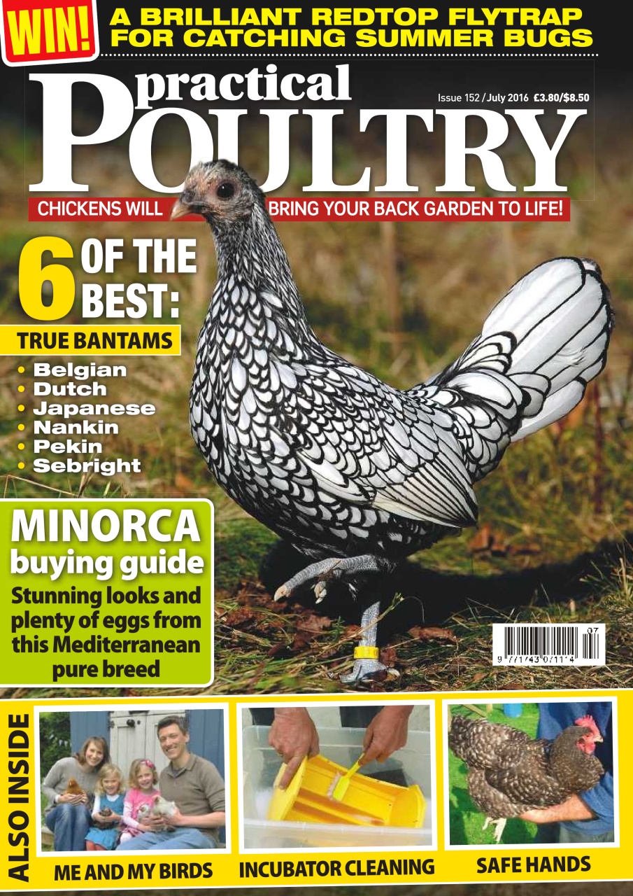Practical Poultry Magazine No. 152 6 Of The Best True Bantams Back Issue