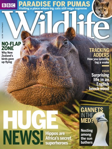 BBC Wildlife Magazine - July 2016 Back Issue