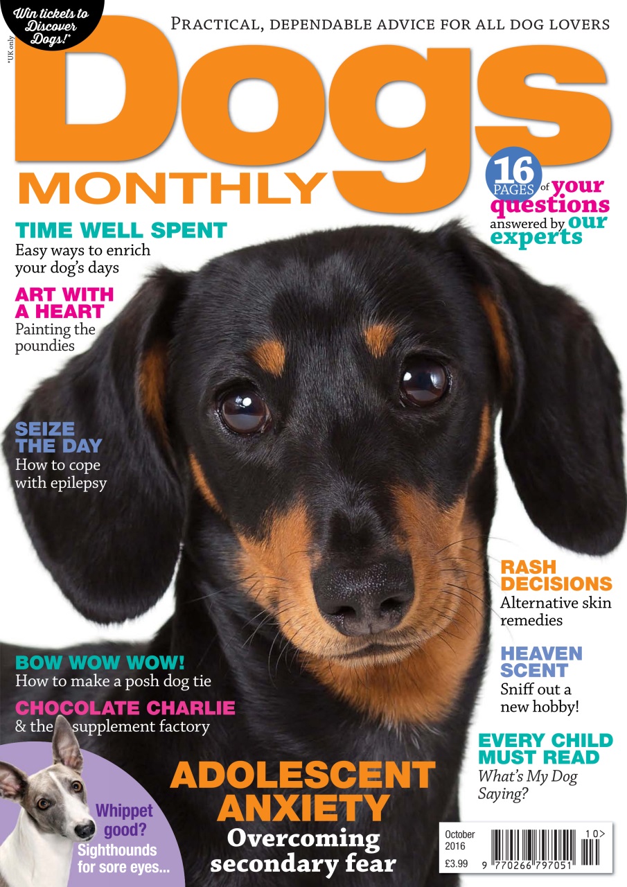Dogs Monthly Magazine October 2016 Back Issue