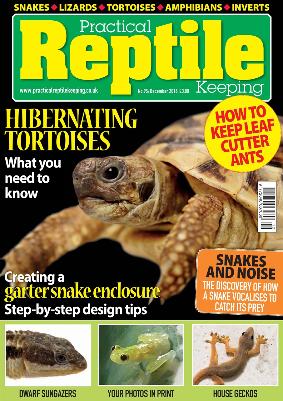 Practical Reptile Keeping Magazine December 2016 Back Issue
