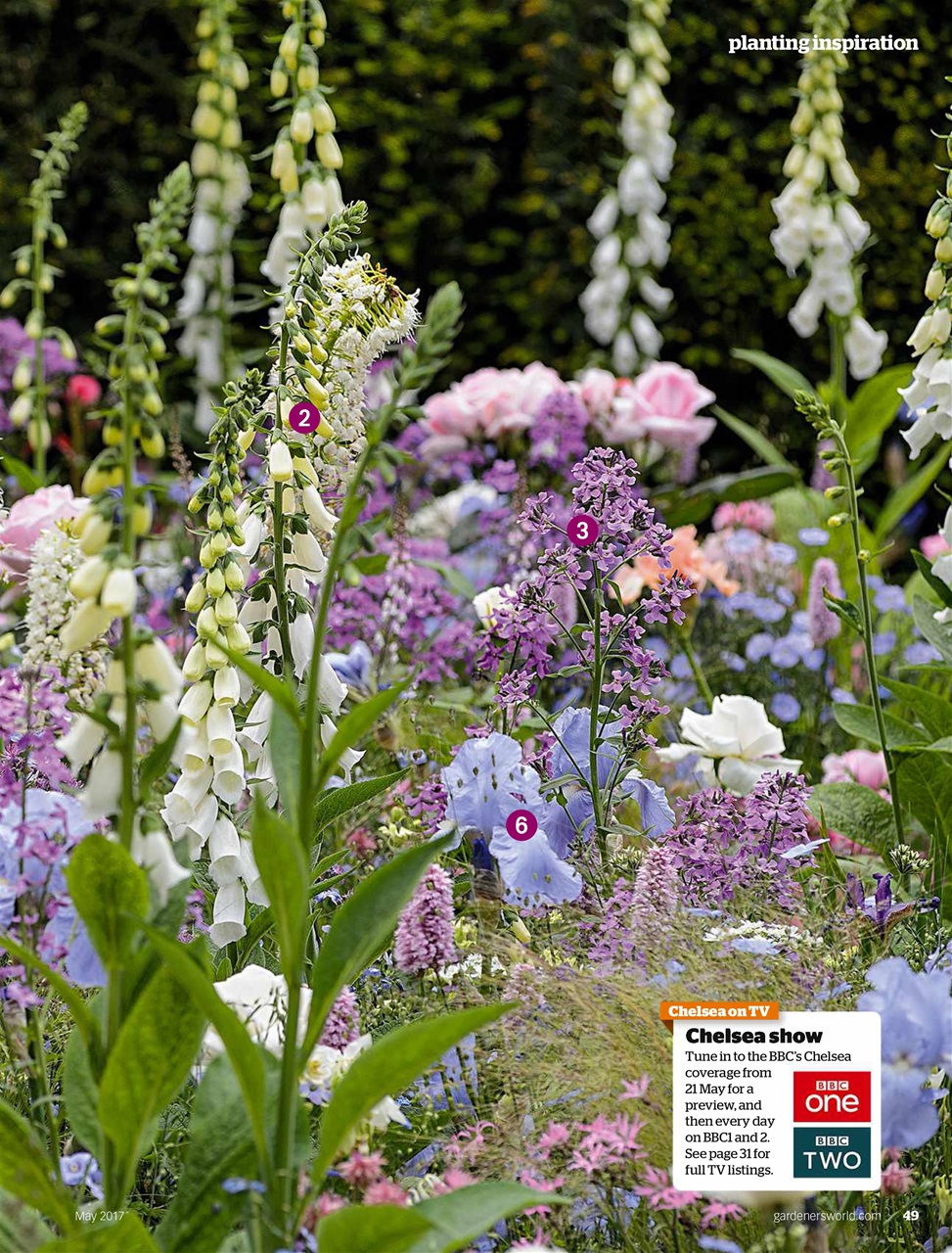 BBC Gardeners’ World Magazine May 2017 Back Issue