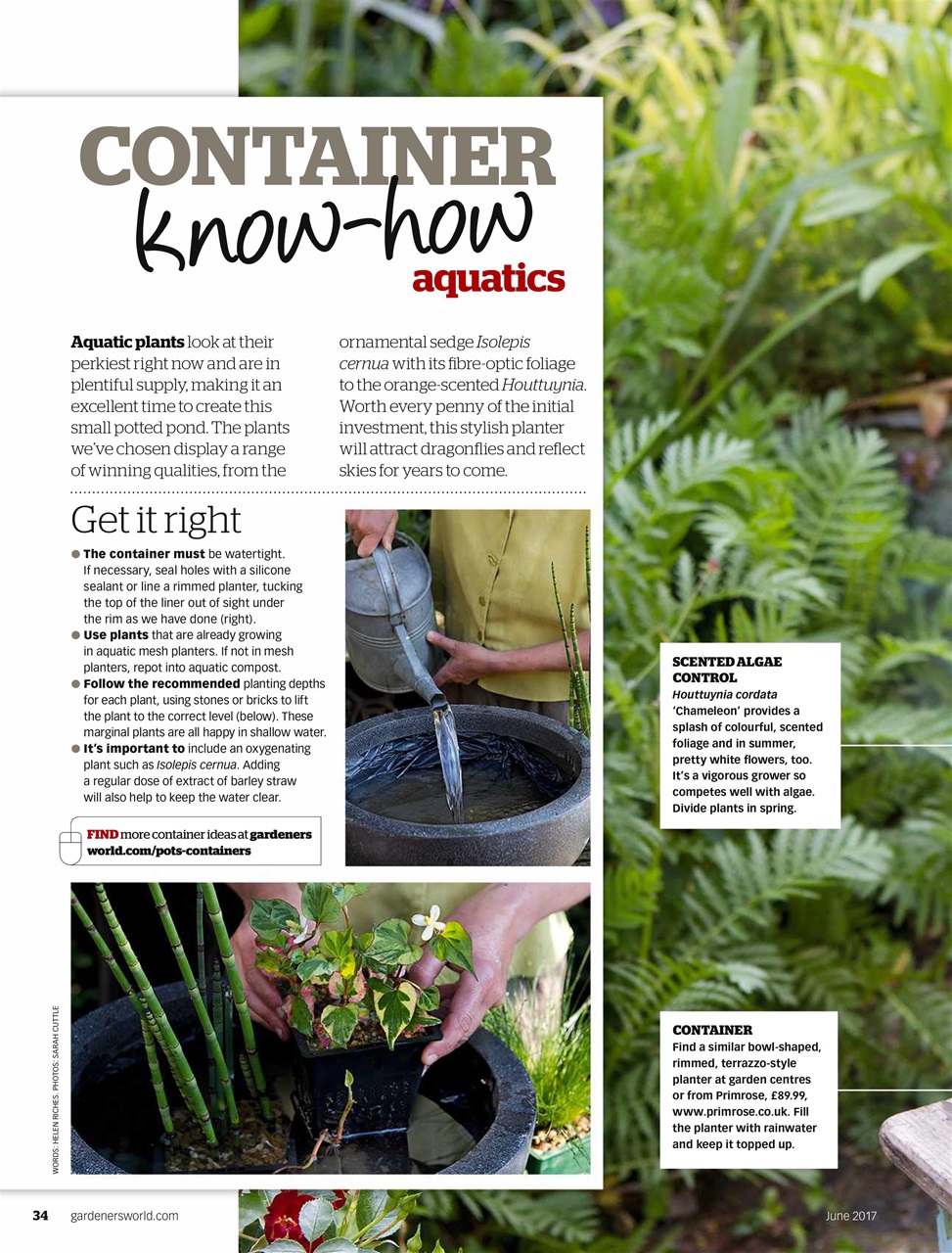 Bbc Gardeners World Magazine June Back Issue