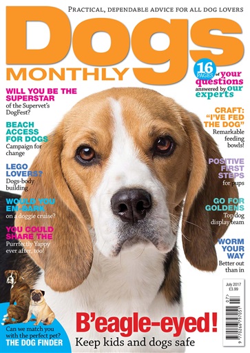 dogs monthly