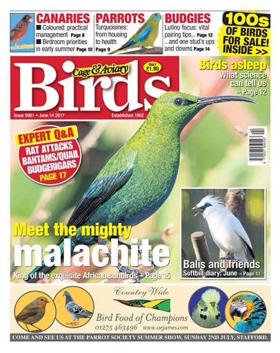 countrywide parrot food