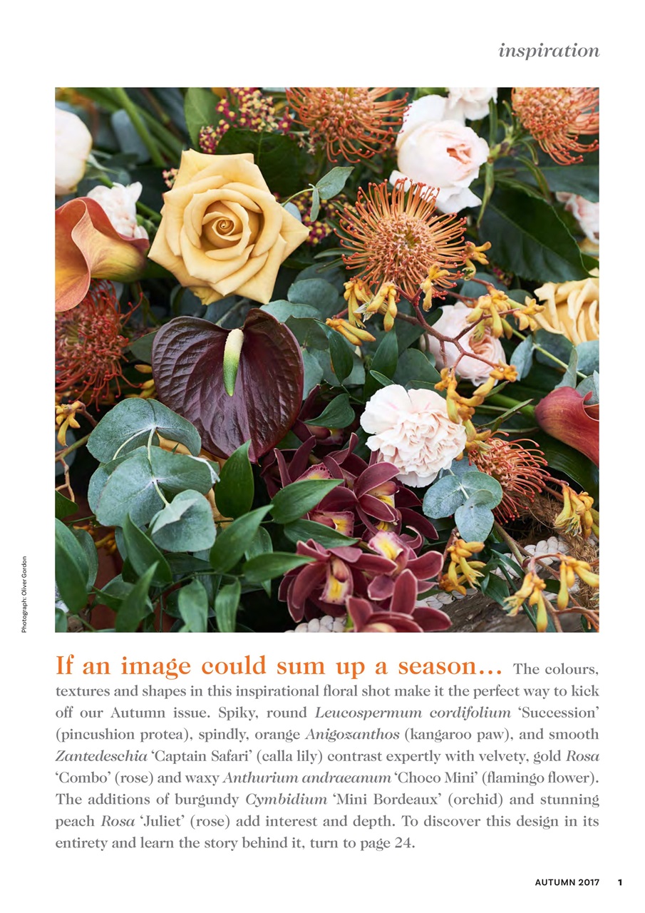 The Flower Arranger Magazine - Autumn 17 Back Issue