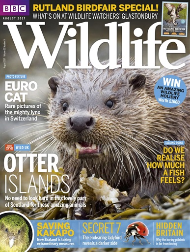 BBC Wildlife Magazine - August 2017 Subscriptions | Pocketmags