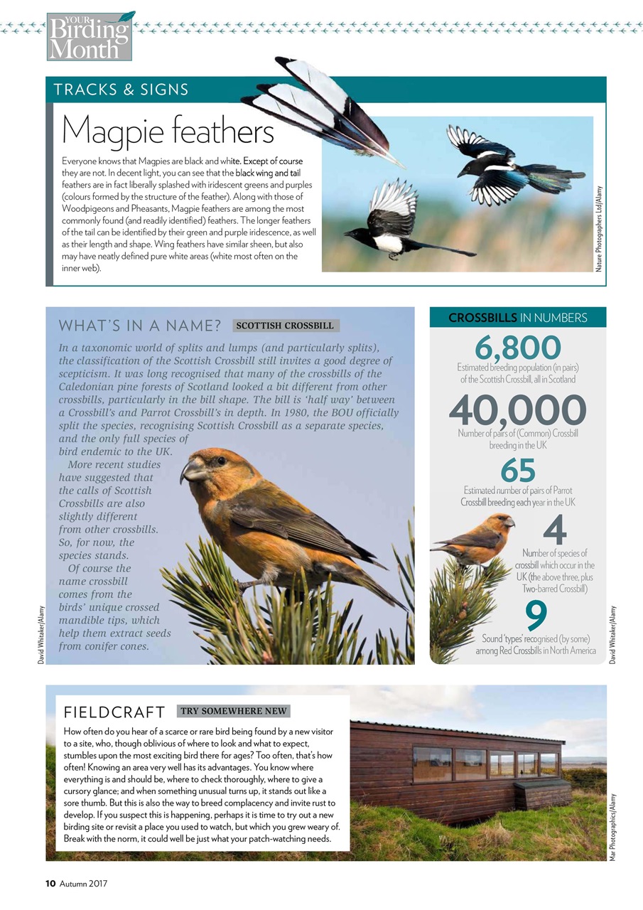 Bird Watching Magazine - Autumn Special 2017 Back Issue