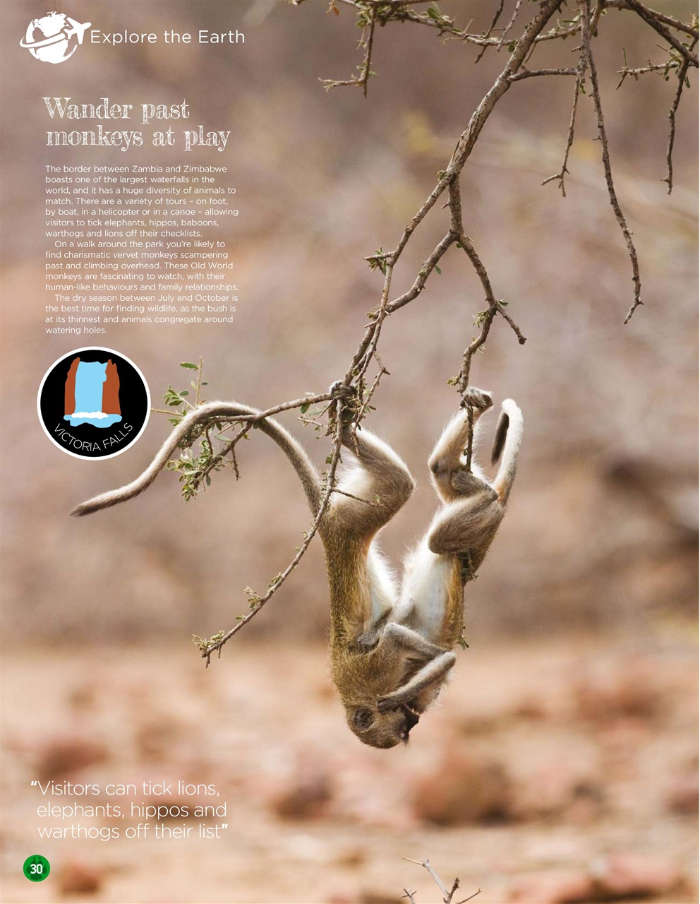 World of Animals Magazine - Issue 50 Back Issue