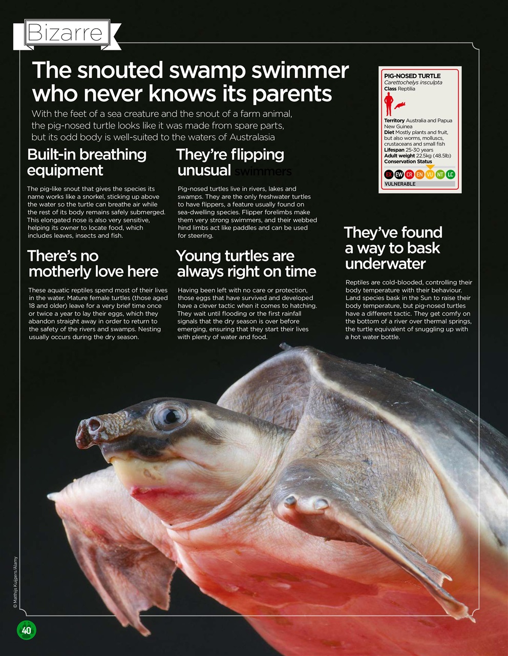 World of Animals Magazine - Issue 50 Back Issue