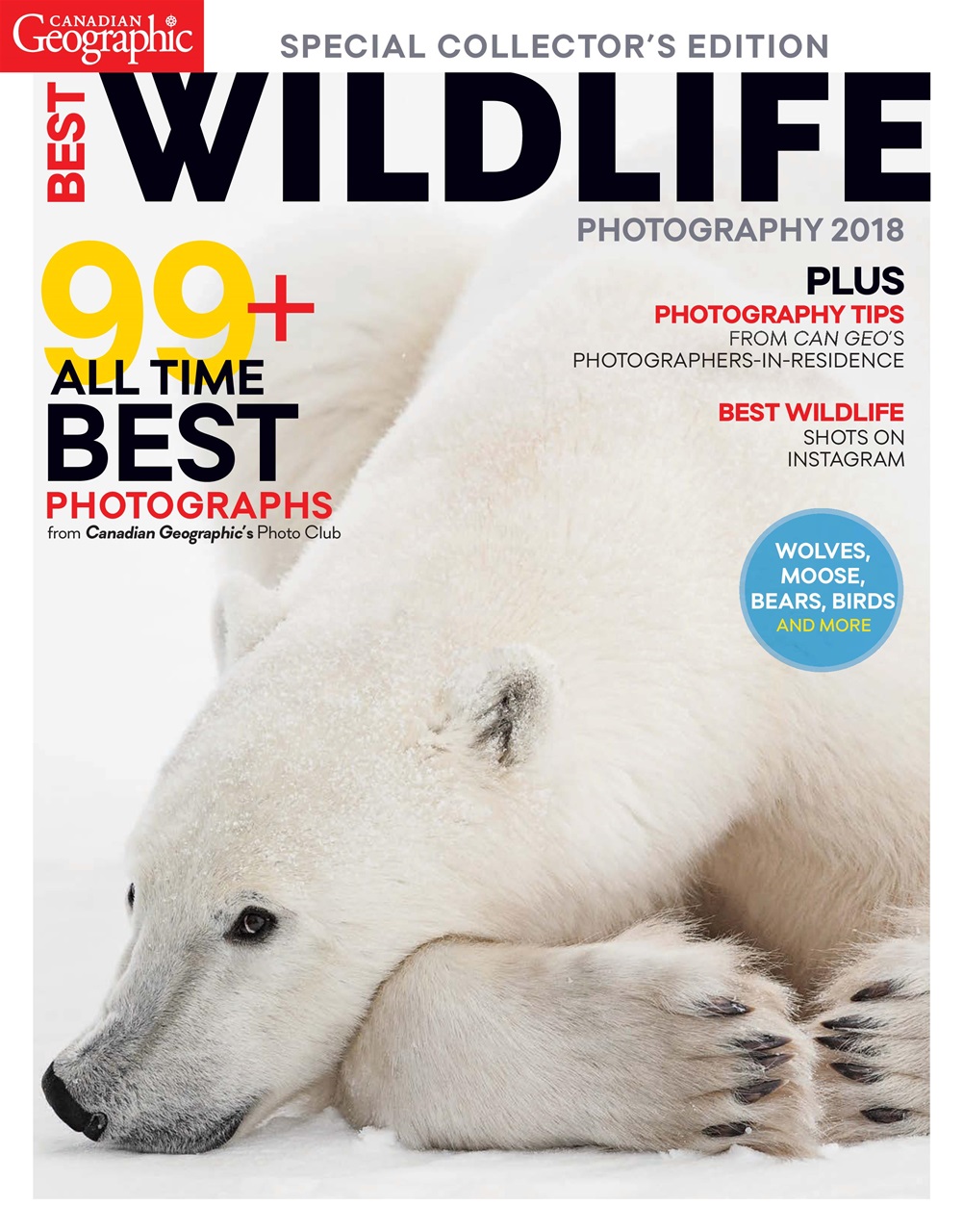 Canadian Geographic Magazine Best Wildlife Photography 2018 Special Issue