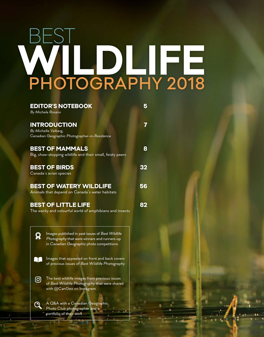 Canadian Geographic Magazine Best Wildlife Photography 2018