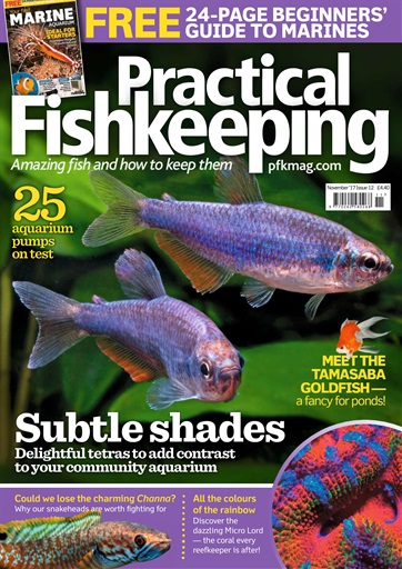 Practical Fishkeeping Magazine - November 2017