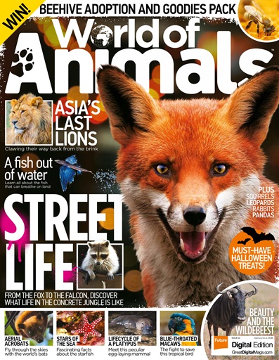 World of Animals Magazine - Issue 52 Subscriptions | Pocketmags