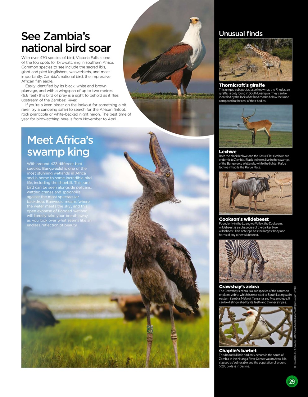 World of Animals Magazine - Issue 52 Back Issue