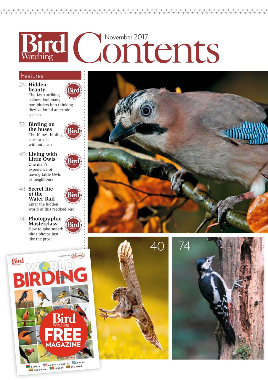 Bird Watching Magazine November 2017 Back Issue