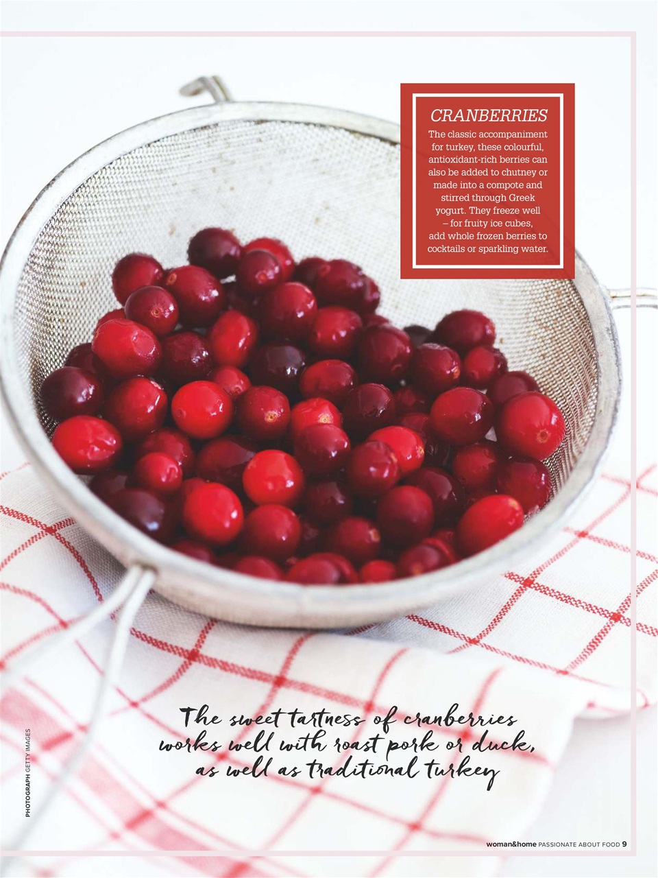 Woman & Home Feel Good Food Magazine Winter 2017 Back Issue