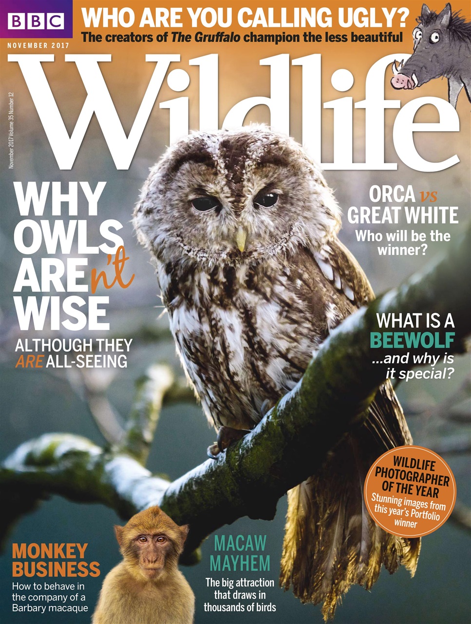 BBC Wildlife Magazine - November 2017 Subscriptions | Pocketmags