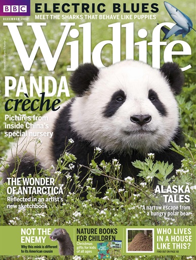 BBC Wildlife Magazine - December 2017 Back Issue