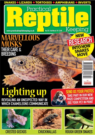 Practical Reptile Keeping Magazine - Feb - Mar 2018 Subscriptions ...