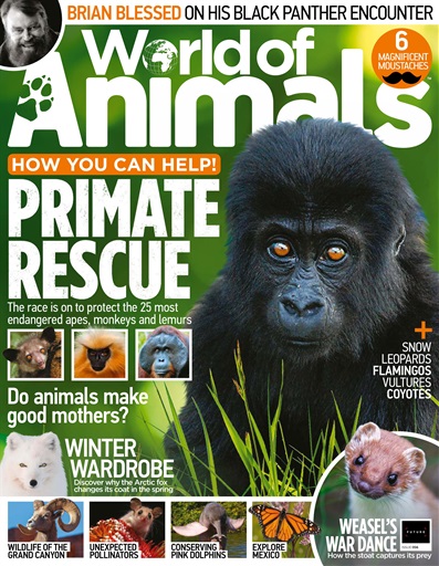 World of Animals Magazine - Issue 56 Subscriptions | Pocketmags