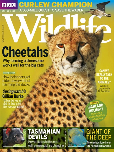 Bbc Wildlife Magazine - Spring2018 Subscriptions 