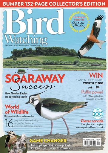 Bird Watching Magazine September 2018 Subscriptions Pocketmags