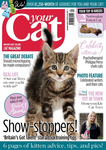 Your Cat Magazine - Your Cat Magazine September 2018 Edição anterior