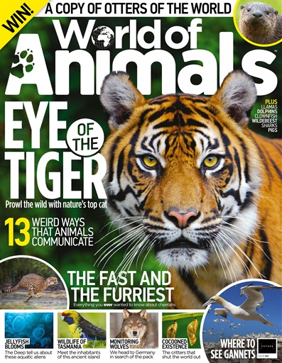 World of Animals Magazine - Issue 63 Back Issue