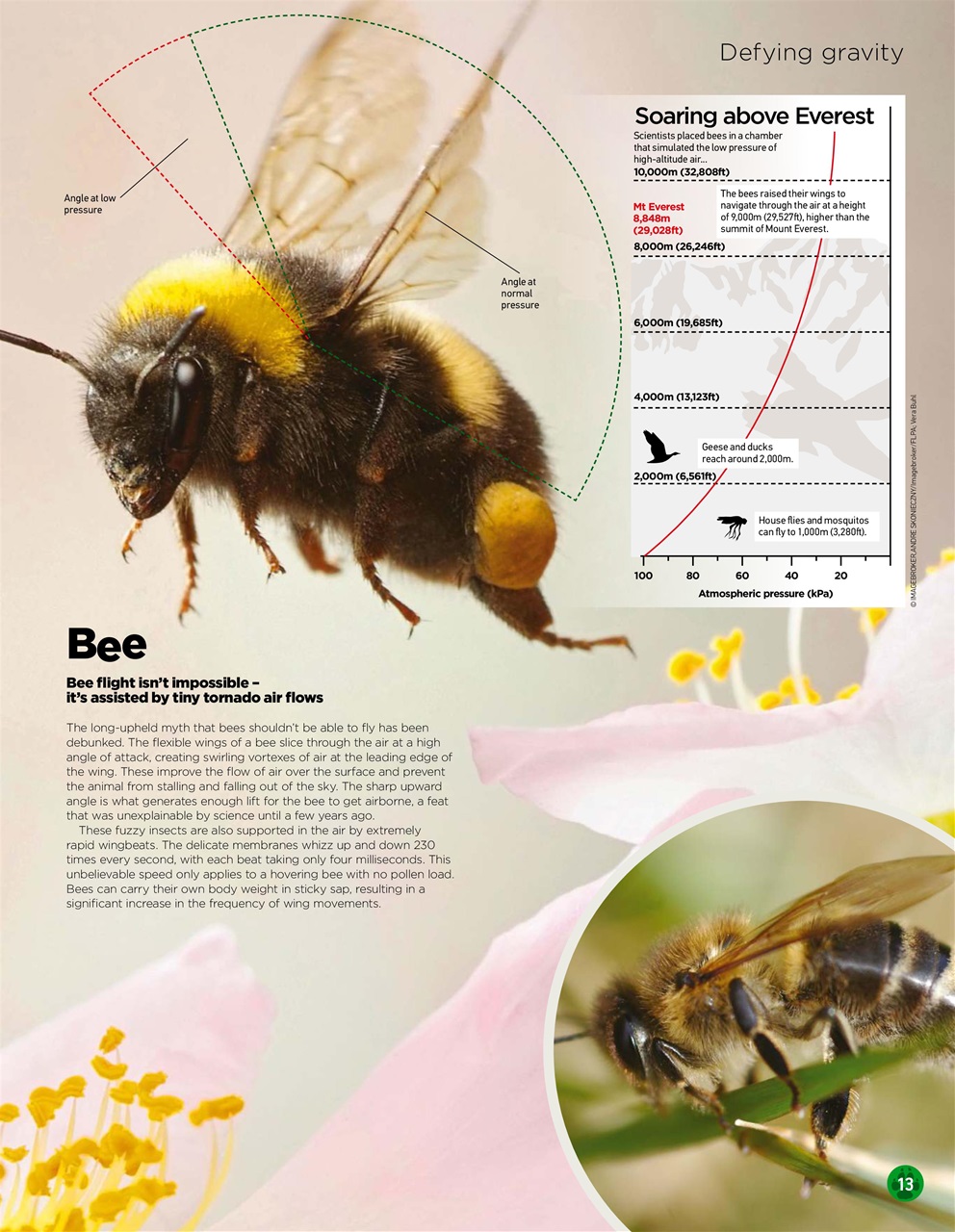 World of Animals Magazine Subscriptions and Issue 64 Issue