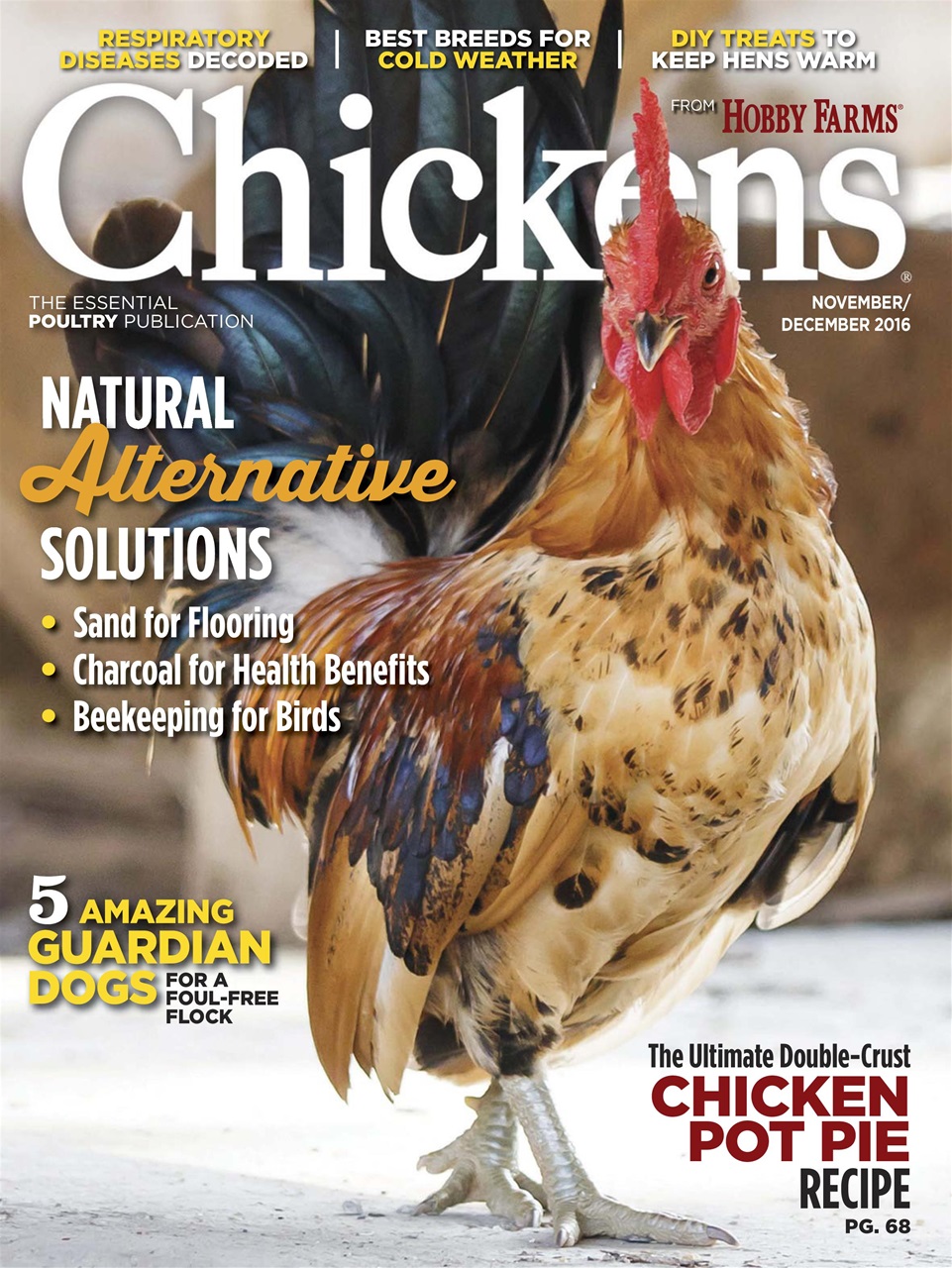 hobby farms chickens magazine