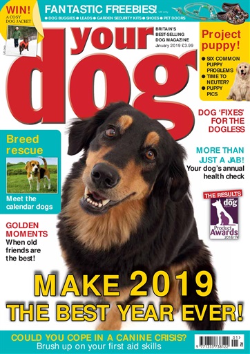 Best selling shop dog products 2019