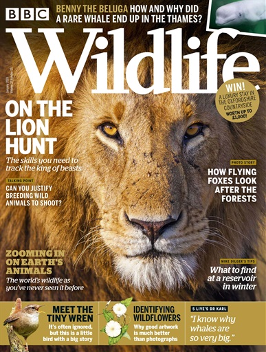 BBC Wildlife Magazine - January 2019 Back Issue