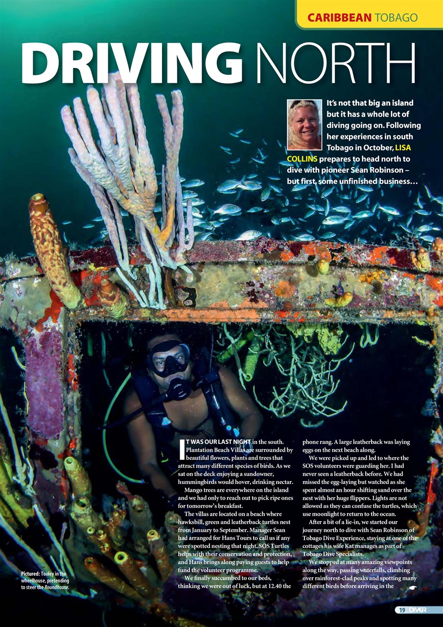 Diver Magazine February 2019 Back Issue