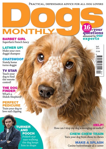 Dogs Monthly Magazine - April 2019 