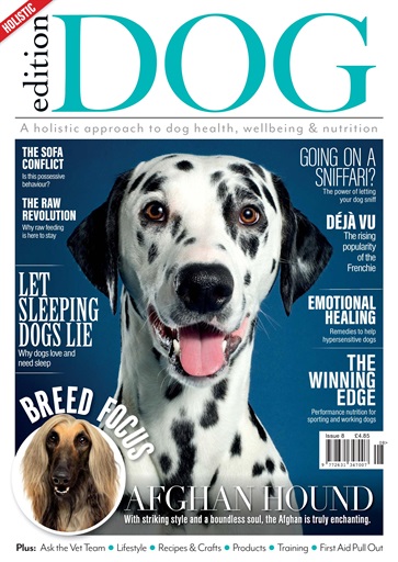 Edition Dog Magazine - Issue 8 Back Issue