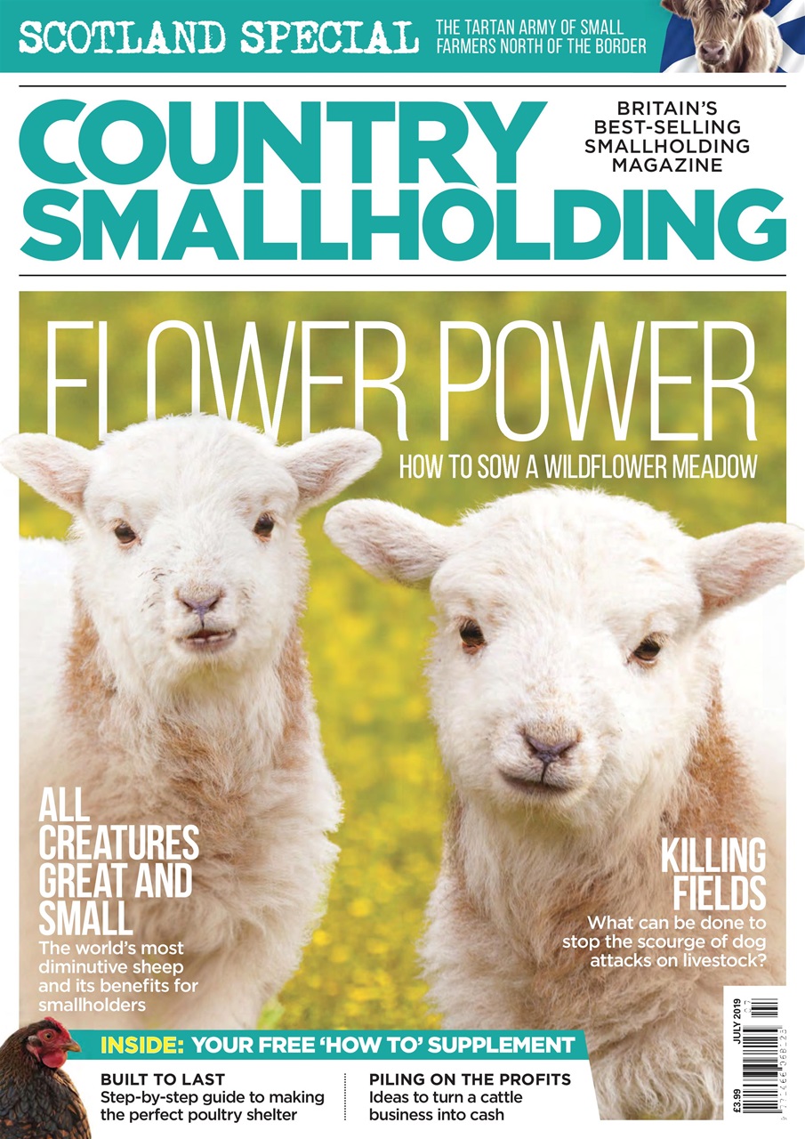 The Country Smallholder Magazine July 2019 Back Issue