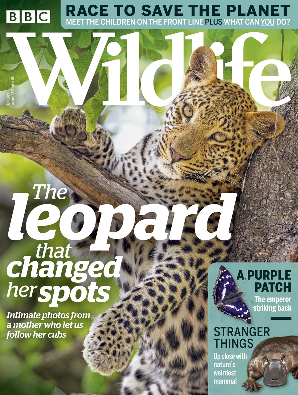 Bbc Wildlife Magazine - July 2019 Back Issue