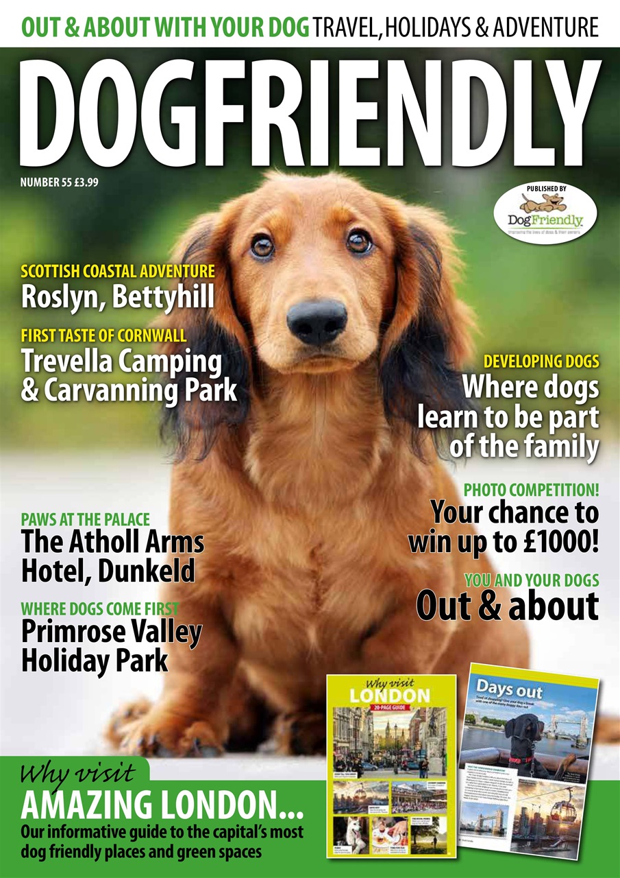 dog-friendly-magazine-sept-oct-2019-back-issue