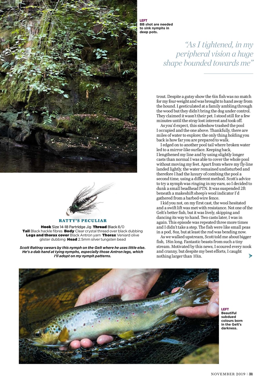 Trout & Salmon Magazine November 2019 Back Issue