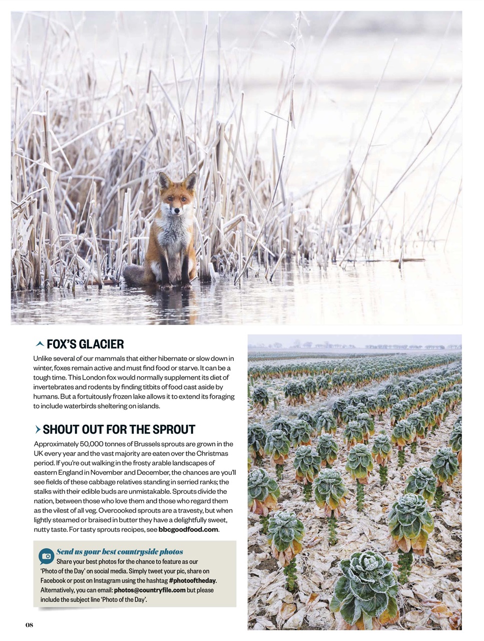 BBC Countryfile Magazine - December 2019 Back Issue