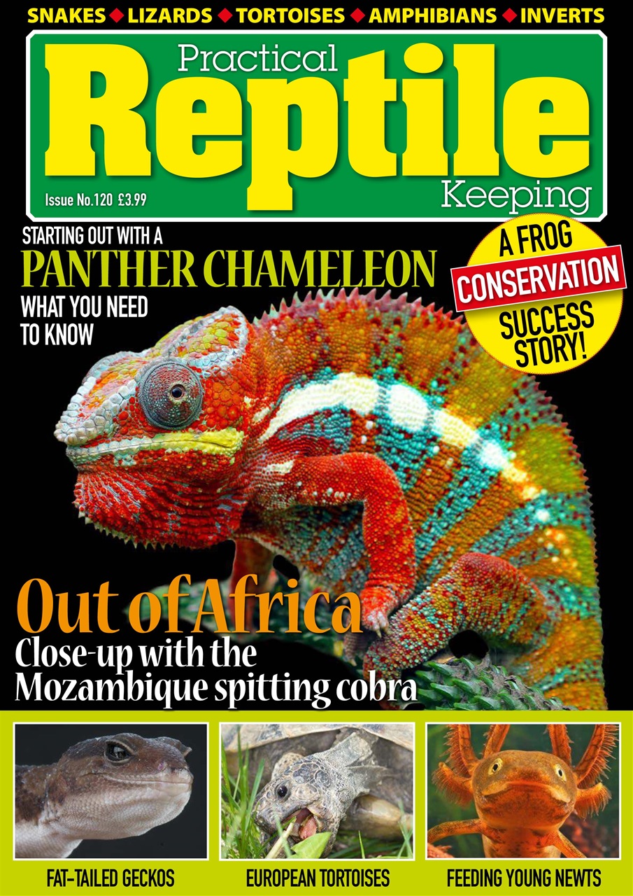 Practical Reptile Keeping Magazine - Issue 120 Back Issue